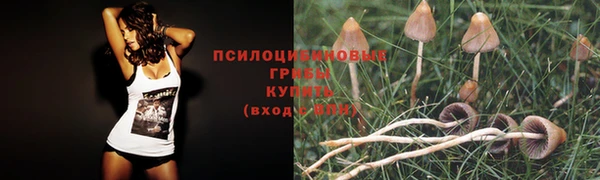 тгк Медвежьегорск