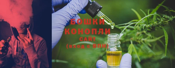 тгк Медвежьегорск