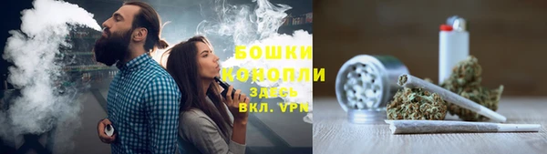 твердый Медногорск