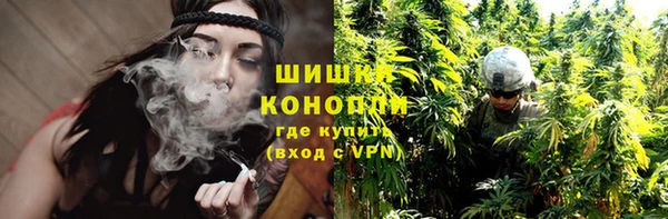 тгк Медвежьегорск