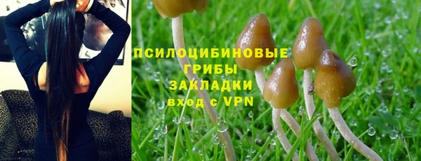 PSILOCYBIN Мегион